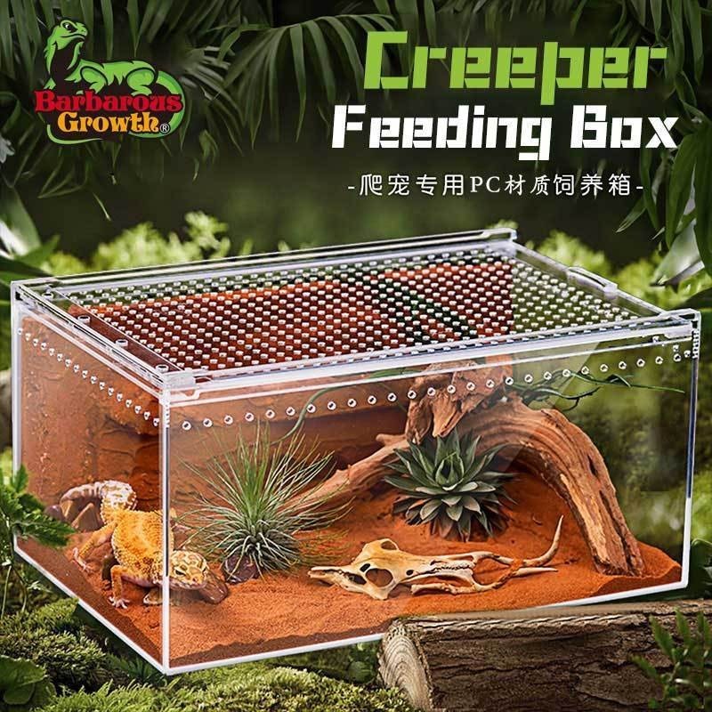 Climbing Pet Acrylic Breeding Box Reptile Leopard Print Gecko Lizard ...