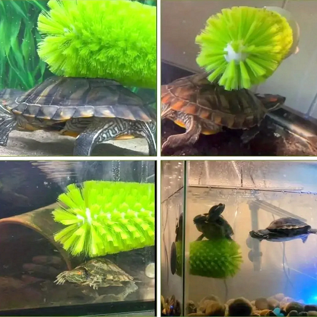 Amphibian Friendly Turtle Back Scrub Brush PVC Suction Cup Exfoliation ...