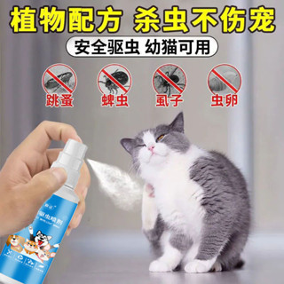 Cat Insect Repellent Medicine Kitten Body Insecticide Kitten Outer ...