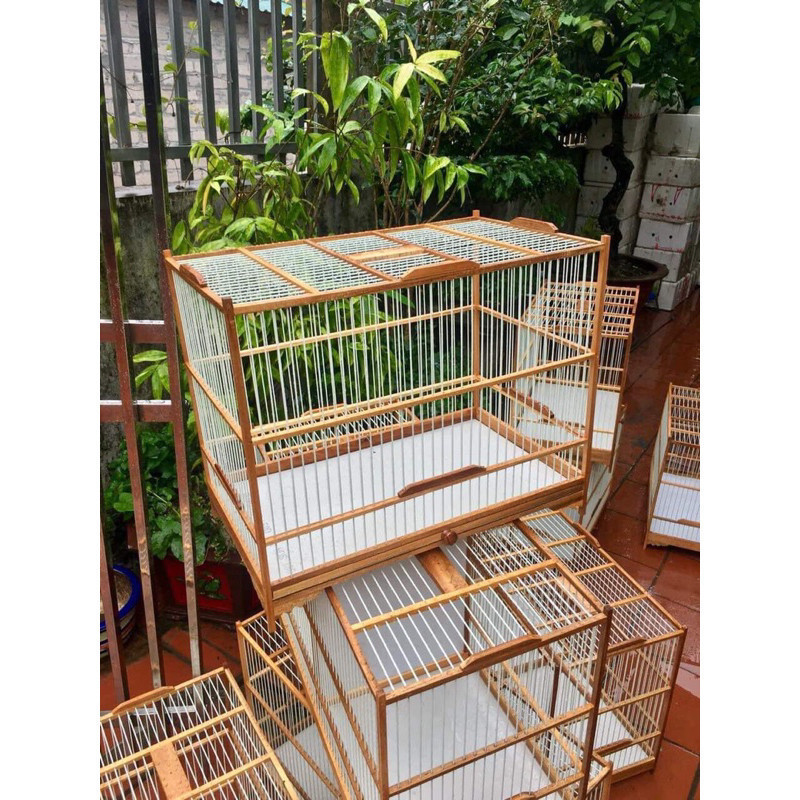 Self-assembled crested bird training frame made of bamboo wood, fiber ...
