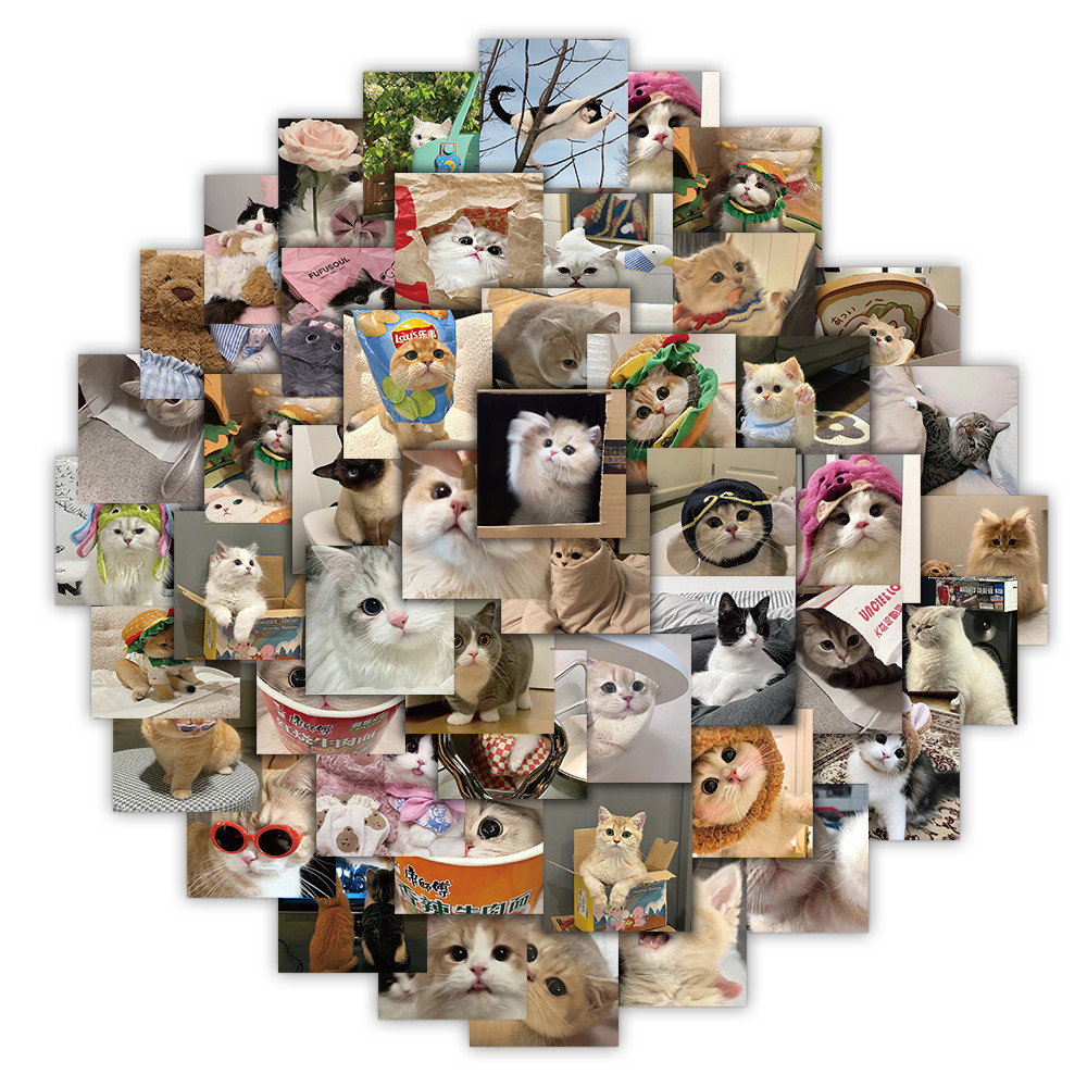 99PCS Cute Realistic Cats Kitten Graffiti Stickers for Helmet Bicycle ...