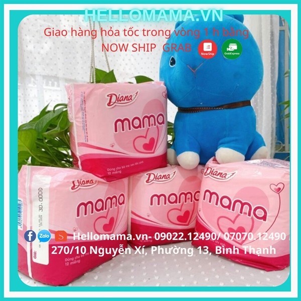 Diana MAMA TamponsOptimal Solution For Mothers After Giving Birth Shopee Malaysia