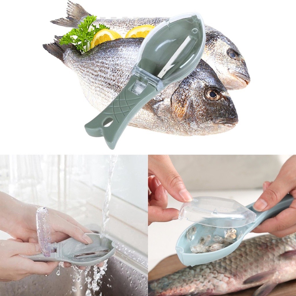 (NO MESS) Fish Scale Remover Fish Scales Graters Scraper Scaler Fish