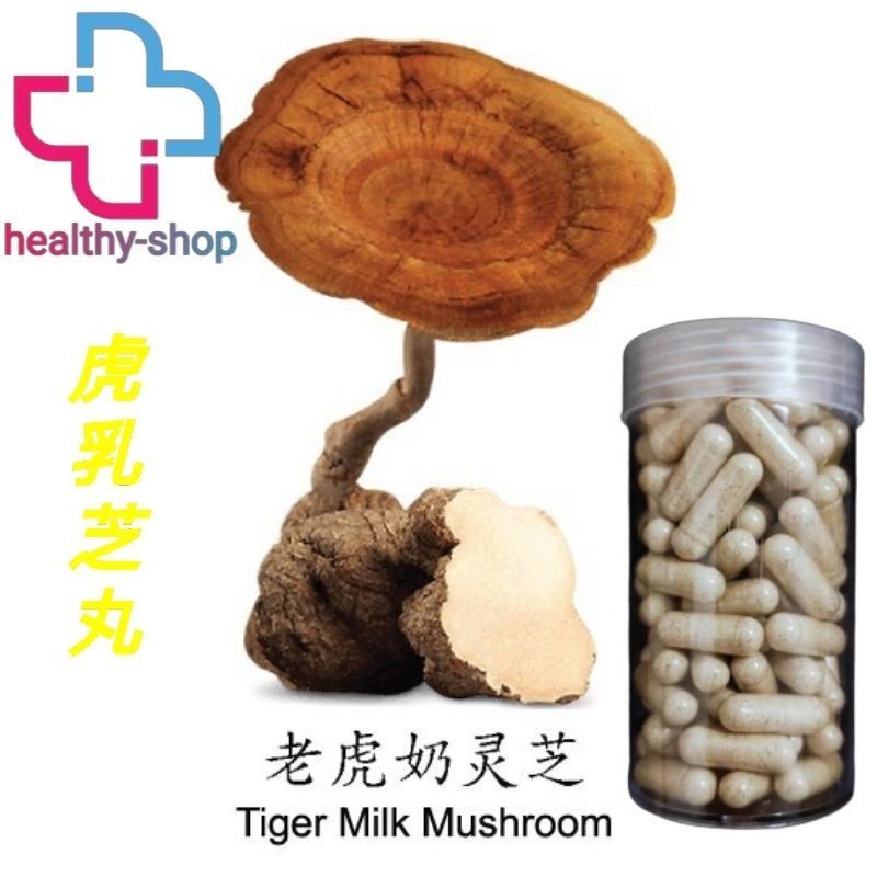 正品 虎乳芝Pure Tiger Milk Mushroom Sclerotia Capsule ( Cendawan Susu ...