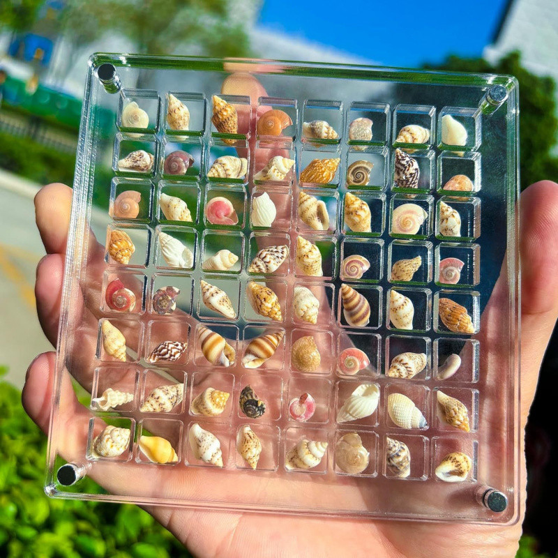 Diamond Jewelry Shell Storage Box Acrylic Magnetic High Transparent ...