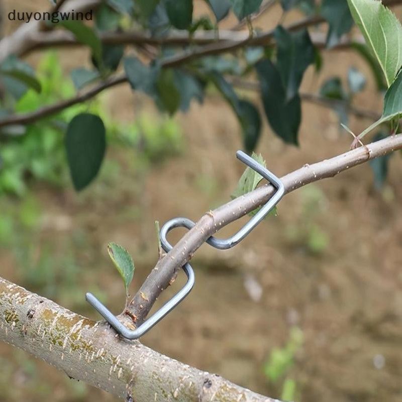 (duyongwind) Fruit Tree Branch Shape Fixator Garden Yard Trees Support ...