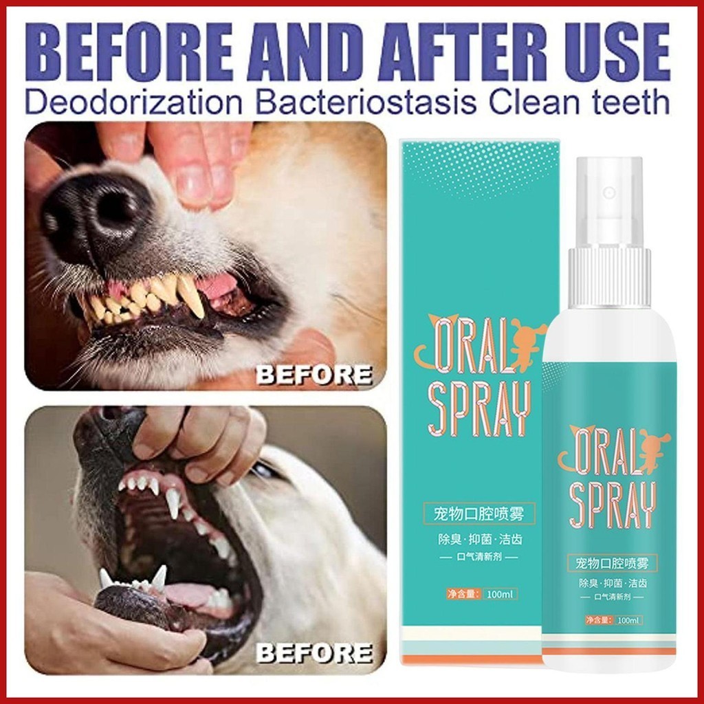 Dog Oral Care 100ml Oral Care for Dog Gingivitis Dog Breath Freshener