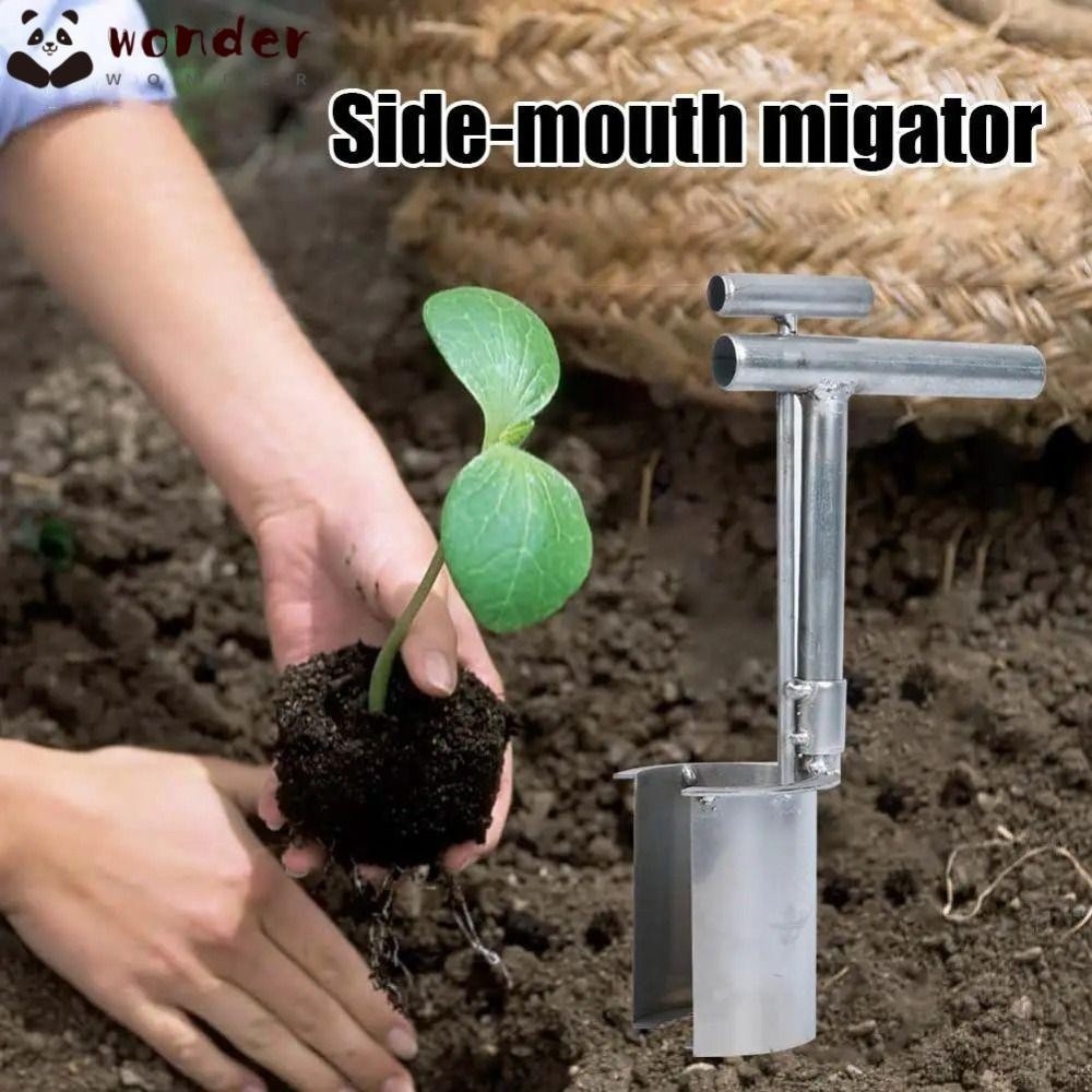 ENMJIAW 2024 New Seedling Transplanter Long Handled Bulb Planter Tools Vegetable Young Plant Manual Stainless Steel Planting Garden