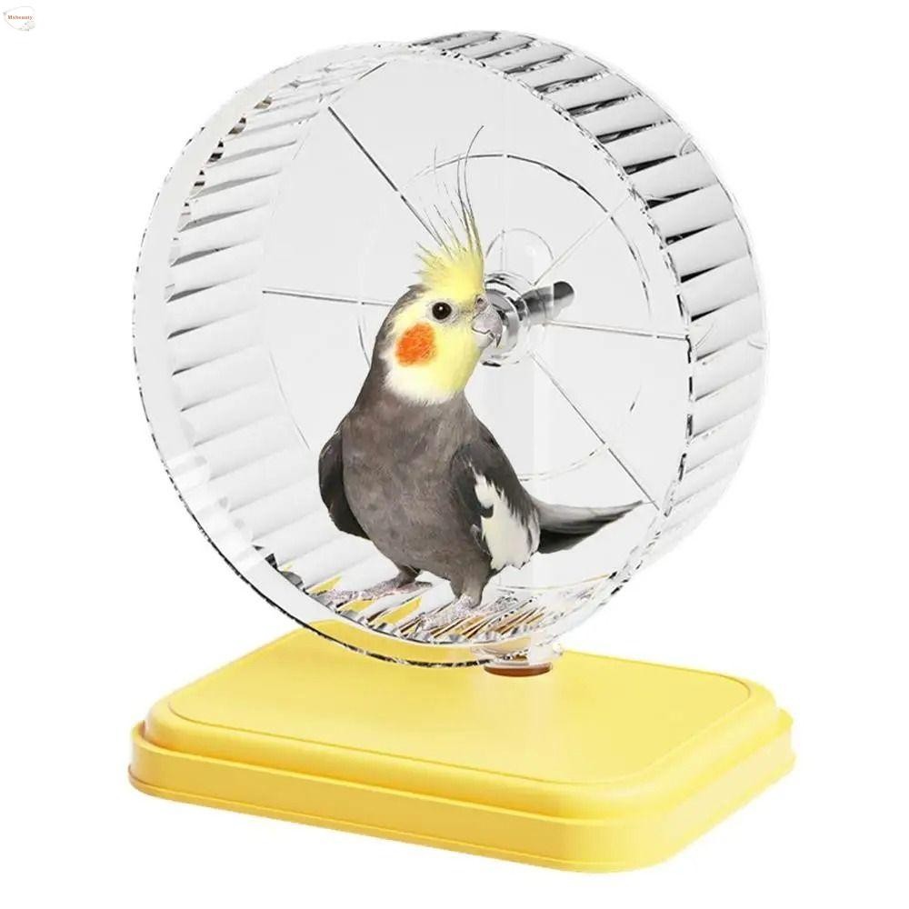 MXBEAUTY Hamster Running Wheels, Double-Bearing Silent Bracket ... - Chemical-Free Hamster Running Wheels