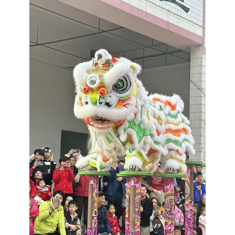 醒狮 南狮 刘备狮 佛装狮 舞龙舞狮 舞狮头高桩狮 广东醒狮 龙狮Xingshi Nanshi Liu Bei Lion Buddha ...