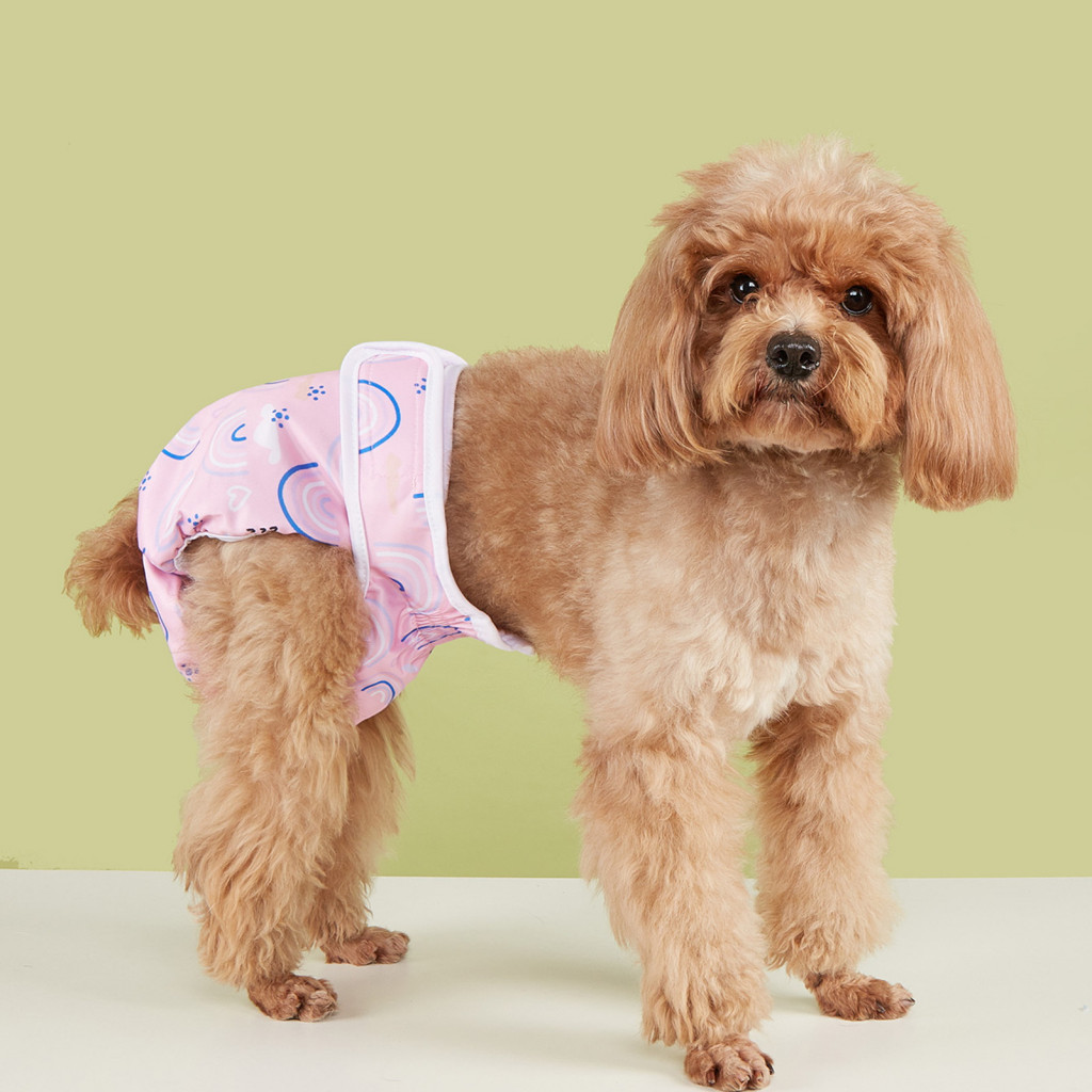 Dog Heat Cycle Protection Dog Diaper with Absorbent Pads Rainbow Prints Dog Diapers Breathable Sanitary Panties for Small medium Dogs Perfect for Pet Menstrual Cycle Shopee Malaysia