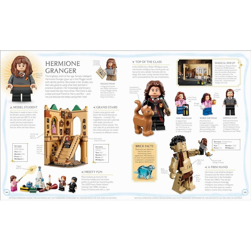 Lego harry potter visual dictionary sale