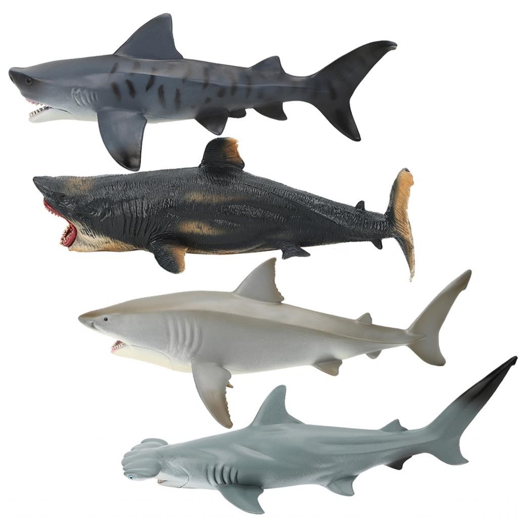 Bmai Natural History Plastic Sharks Model Educational Sea Life Toy for ...