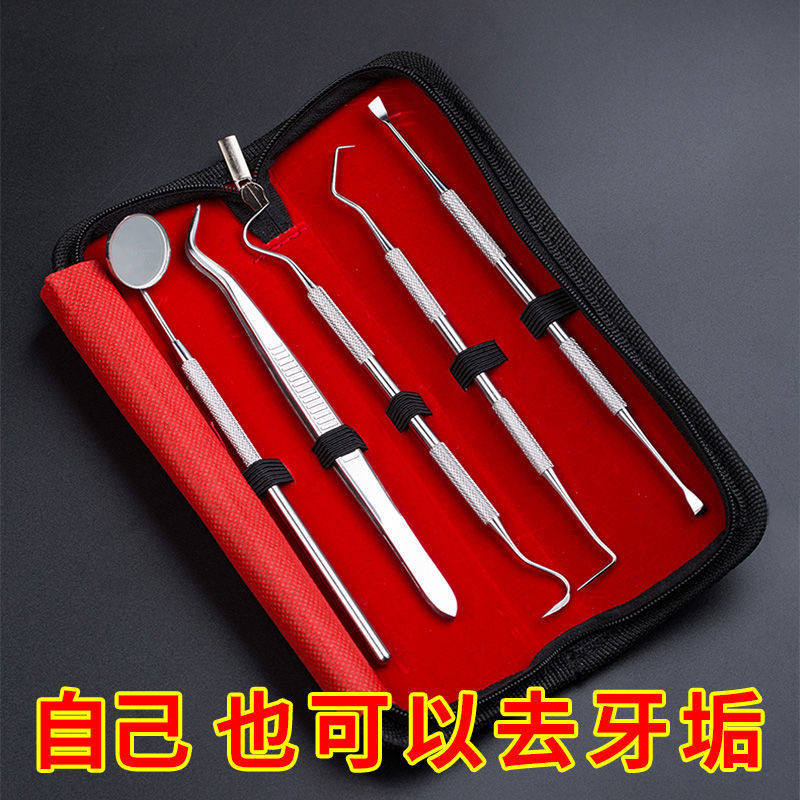 Toothpicking Plug Tooth Handy Tool Portable Toothpick Needle 304 ...