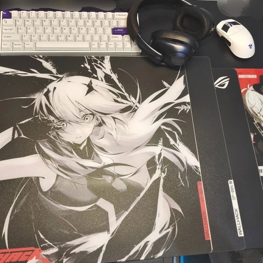 新品未開封　WALLHACK SP-004 (限定版 Frenzy Sora) Limited Edition WALLHACK SKYPAD SP-004 Frenzy Sora Glass