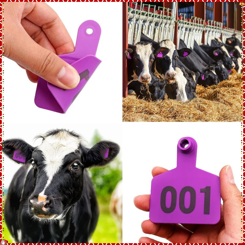 Farm Livestock Supplies Purple Cattles Ear Tags Numbered 001-100 Cows ...