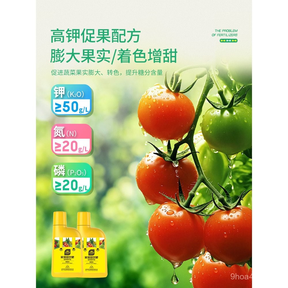 Penyelesaian Nutrien Baja Khas Stanley Golden Bean untuk Tanaman ...