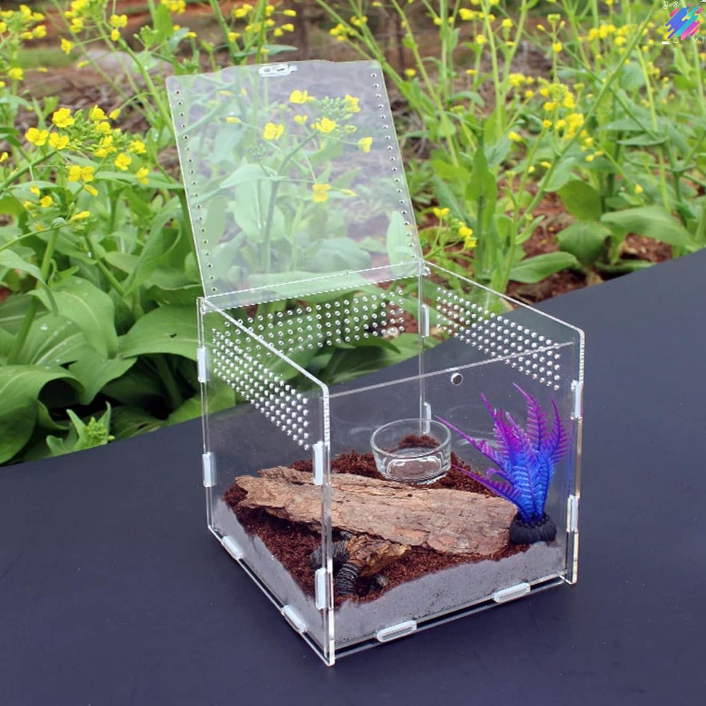 Reptile Small Snake Feeding Box Stackable and Buckle Splicing Box for ...