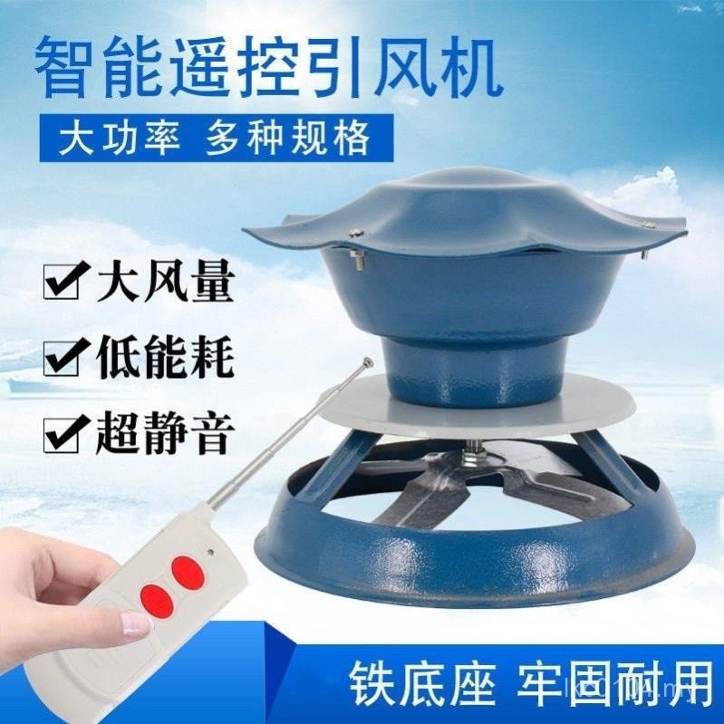 Pure Copper Hair Dryer Chimney Remote Control Type Exhaust Fan Fire ...