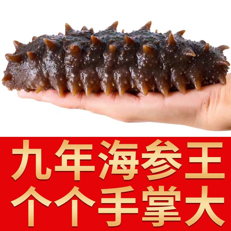 Image Result For What Are The Local Sea Cu Ber Brands In Dalian Which One Is