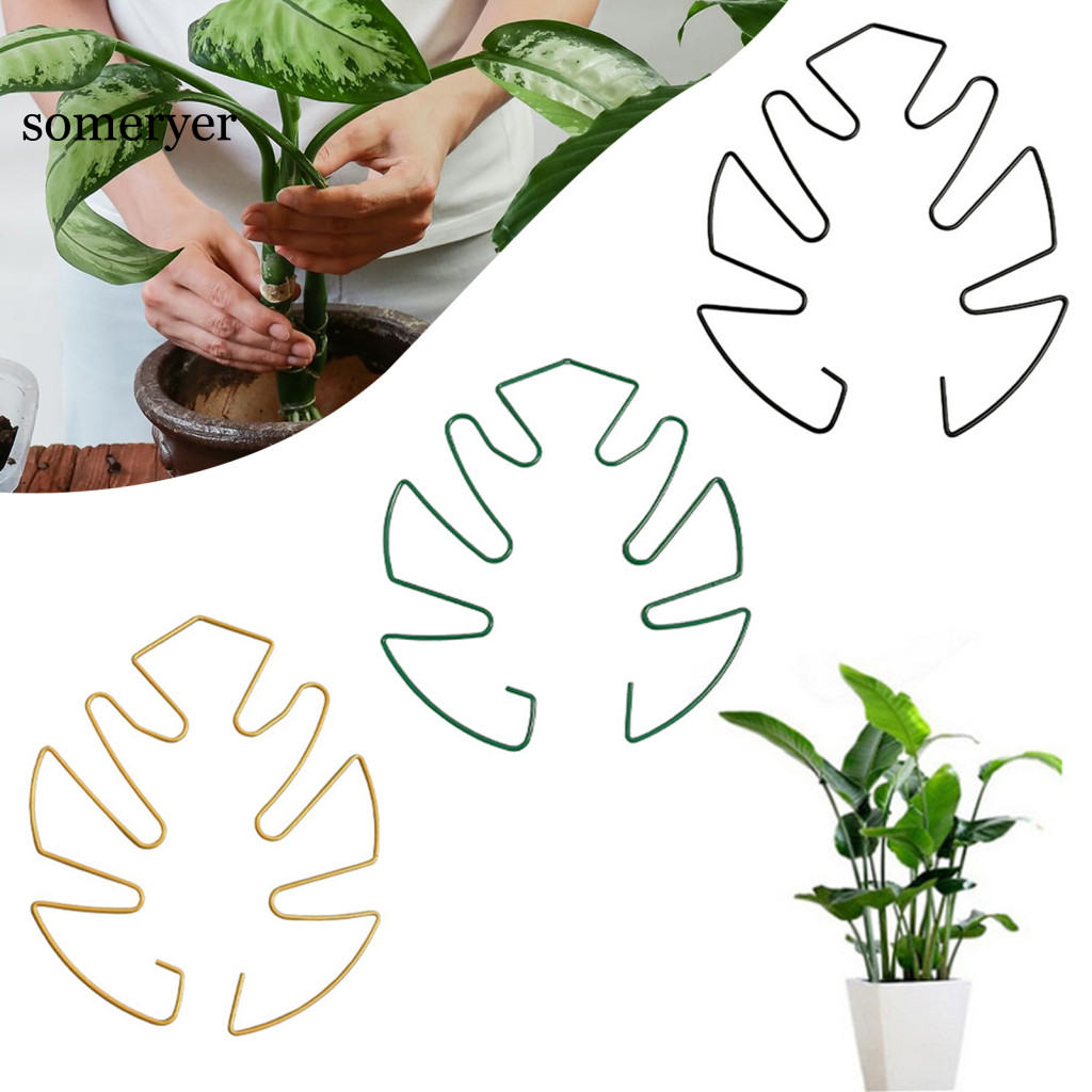 someryer| Metal Plant Support Durable Plant Support 10 Pcs Monstera ...