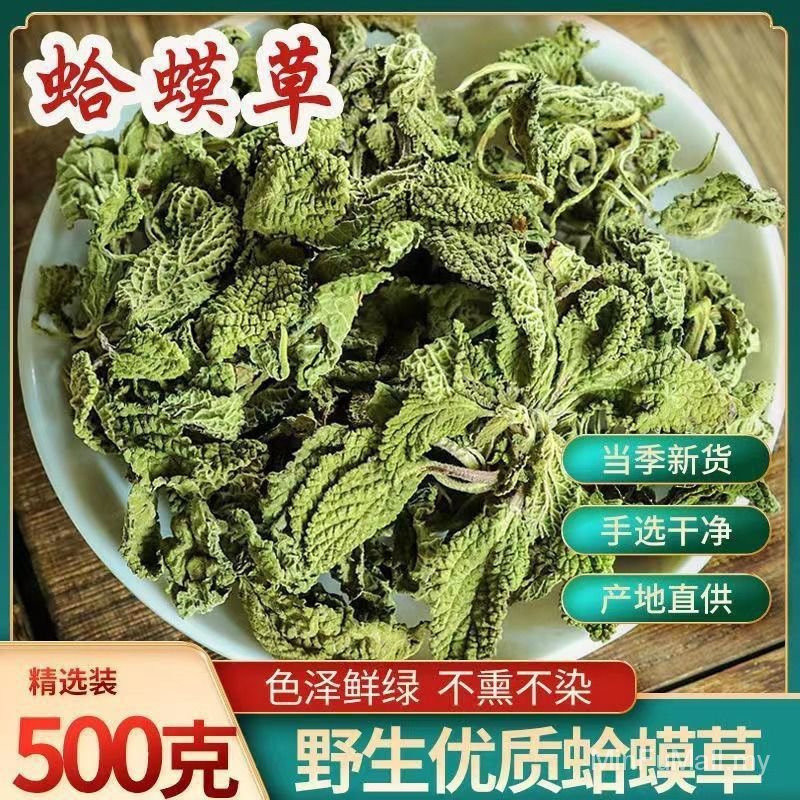 [HERBAL] Toad Grass Chinese HERBAL Medicine 500g Wild Fresh Toad Grass ...