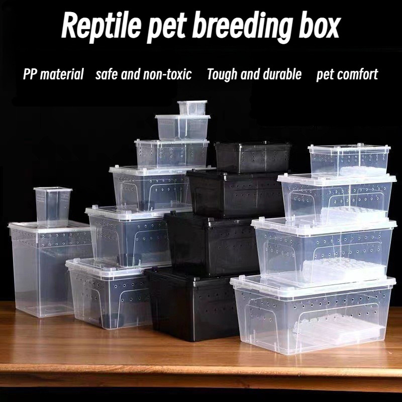 Reptile breeding box pet snake spider scorpion gecko snail insect ...