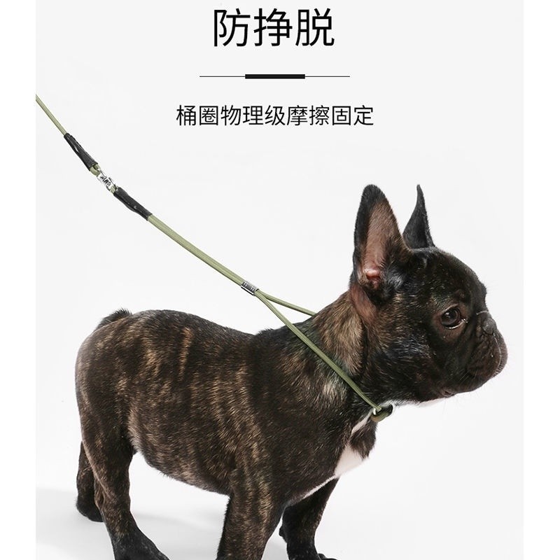 Dog Rope Small Dog Non P Rope Integrated Traction Rope Teddy Bear Dog ...