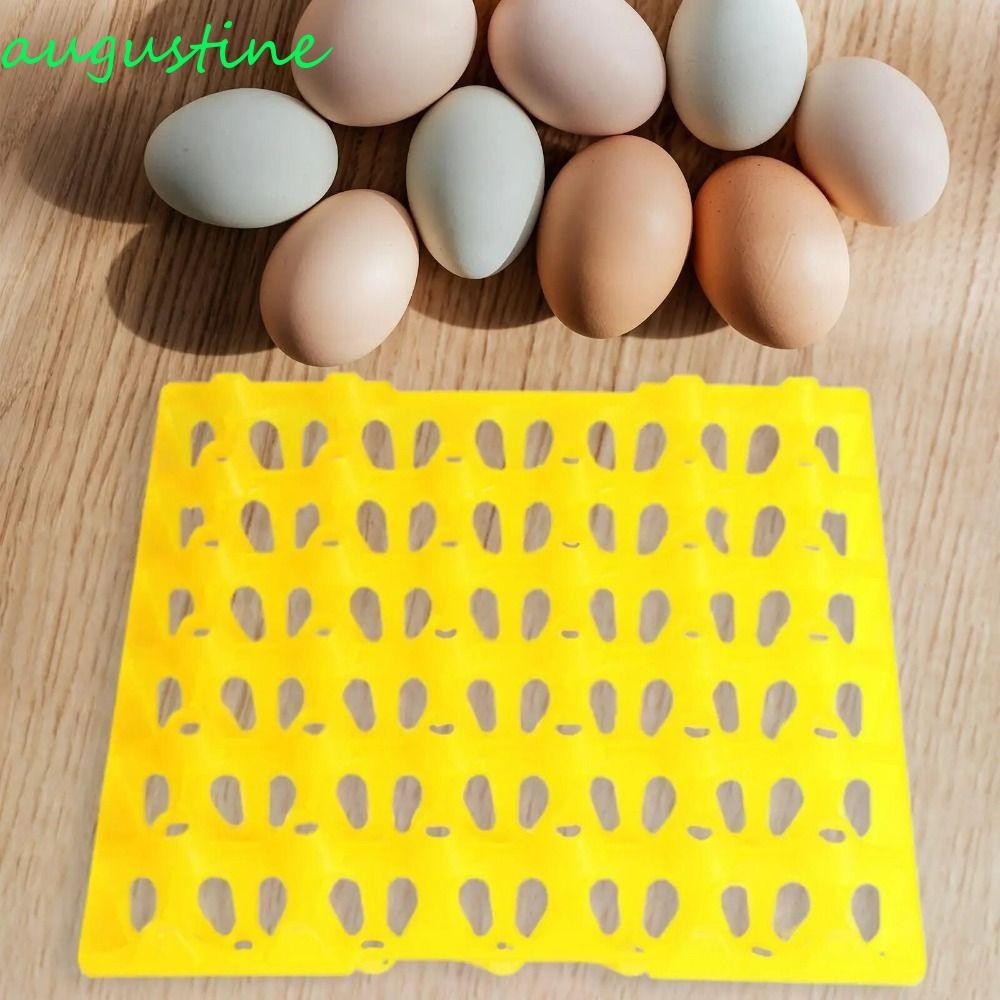 AUGUSTINE 2Pcs 30 Grids Eggs Tray, Dedicated Plastic Farm Egg Container ...