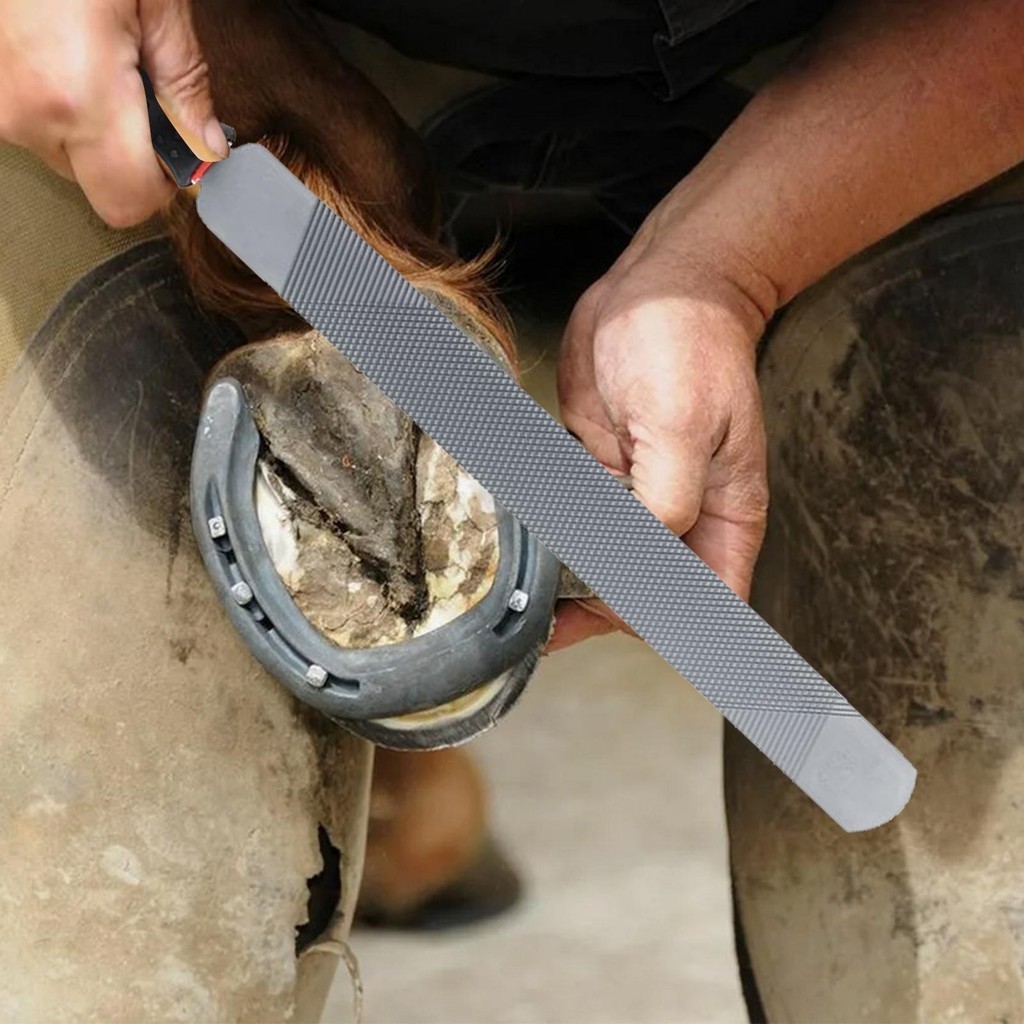 Hoof Rasp File Carbon Steel Double Sided Hoof Rasp Farrier Rasp File ...