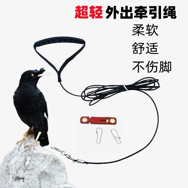 Starling Bird Chain Parrot Bird Walking Rope Parrot Anklet Bird Chain ...