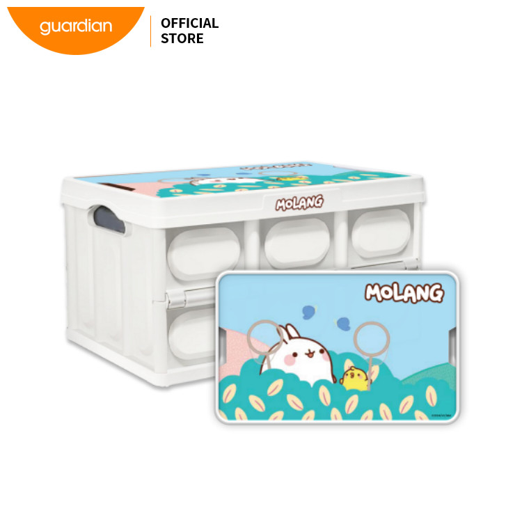 GWP - Dove Foldable Storage (Off Pack & While Stocks Last) | Shopee ...