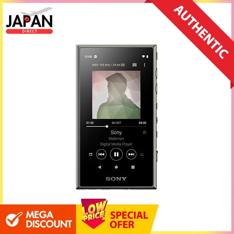 Sony Walkman 16GB A Series NW-A105: Hi-Res compatible/MP3 player ...