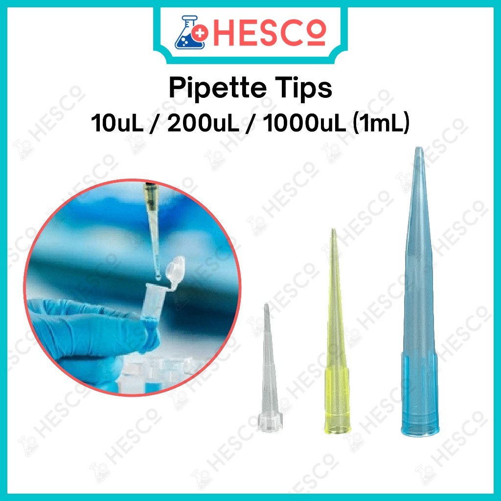 Pipette Tips 10µL, 200µL, 1000µL(1mL) – 1000pcs/500pcs, Transparent ...