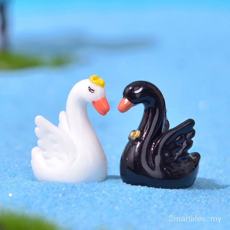 New Mini Cute Black White Swan Micro Landscape Succulent Decoration ...