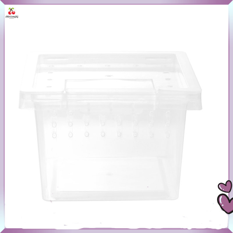 Insect Rearing Box Tortoise House The Animal Reptiles Breeding ...