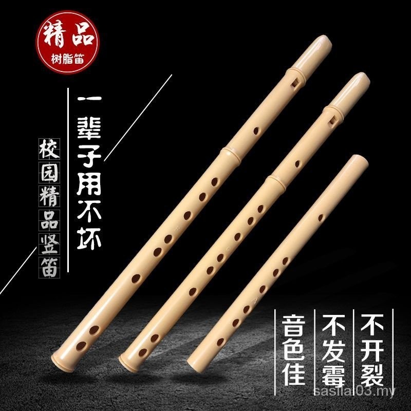 clarinet /flute 竖笛/笛子 竖笛乐器6孔成人初学入门小学生儿童小a/g/f演奏直六孔短笛子5/14 | Shopee Malaysia