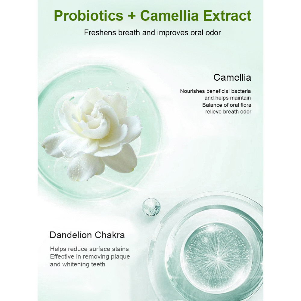Camellia Toothpaste Stain Buster Probiotic Toothpaste Remove Yellow Sta ...