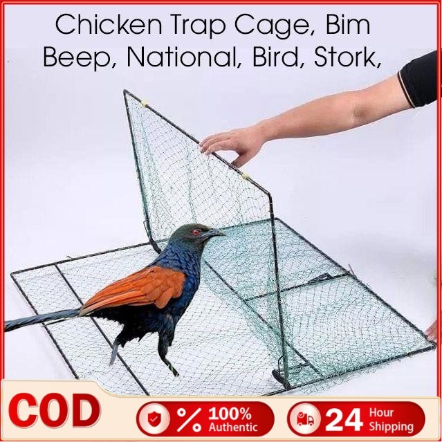 Hunting Net Metal Chicken Trap Sparrow Spring Starling Catching Net ...