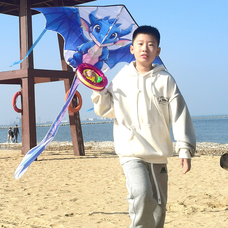 Sk Hengjiang Kite New Style 2024 Flying Dragon Pterodactyl Kite ...