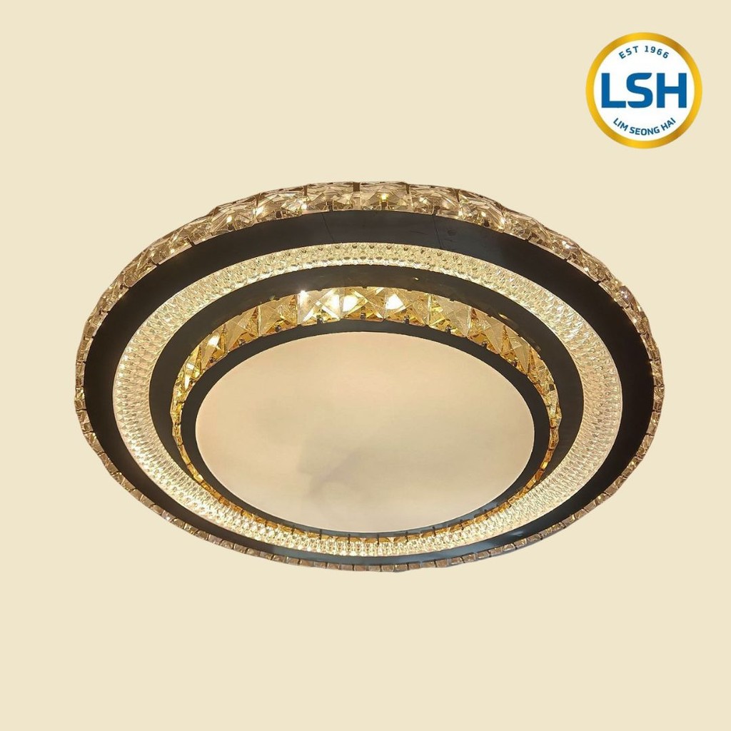 Modern Minimalist Design Translucent LED Flush Round Mount Ceiling ...