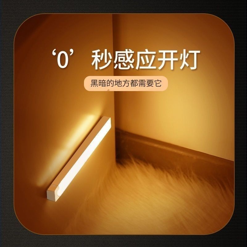 Human Body Intelligent Induction Light Strip Long Strip Wardrobe Shoe