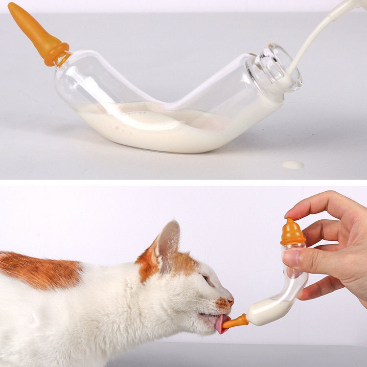 [Ready Stock] Pet Baby Bottle Glass Silicone Nipple Head Universal
