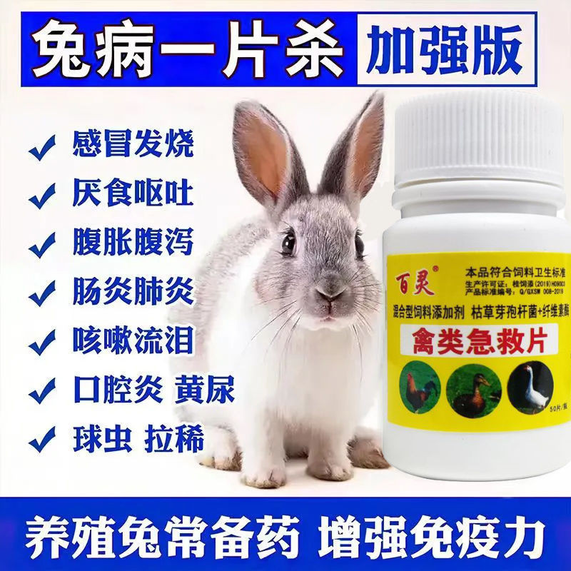 Rabbit First Aid, Pet Rabbits, Diarrhea, Commonly Used Medic Rabbit ...