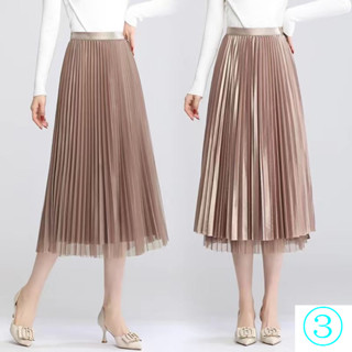 [Two Sides Wear] Pleated Skirt Net Gauze Skirt Women Four Seasons All ...