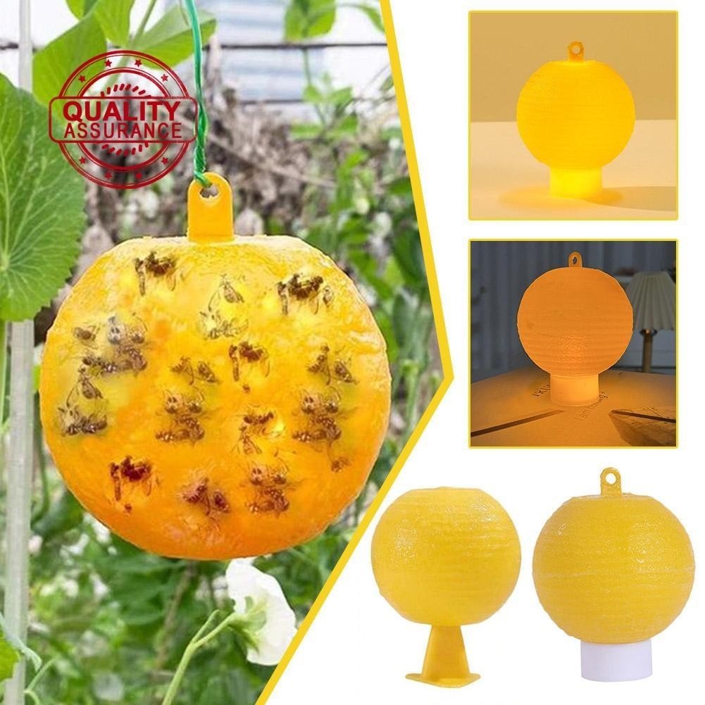 Fruit Fly Ball Fly Trap Sticky Insect Ball Lime Needle Caterpillar ...