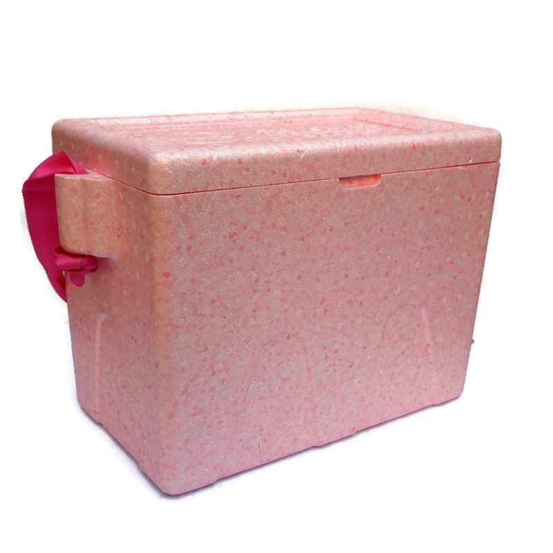 ICE BOX/ICE CHEST/ICE COOLER/STYRO FOAM BOX/STYRO BOX | Shopee Malaysia