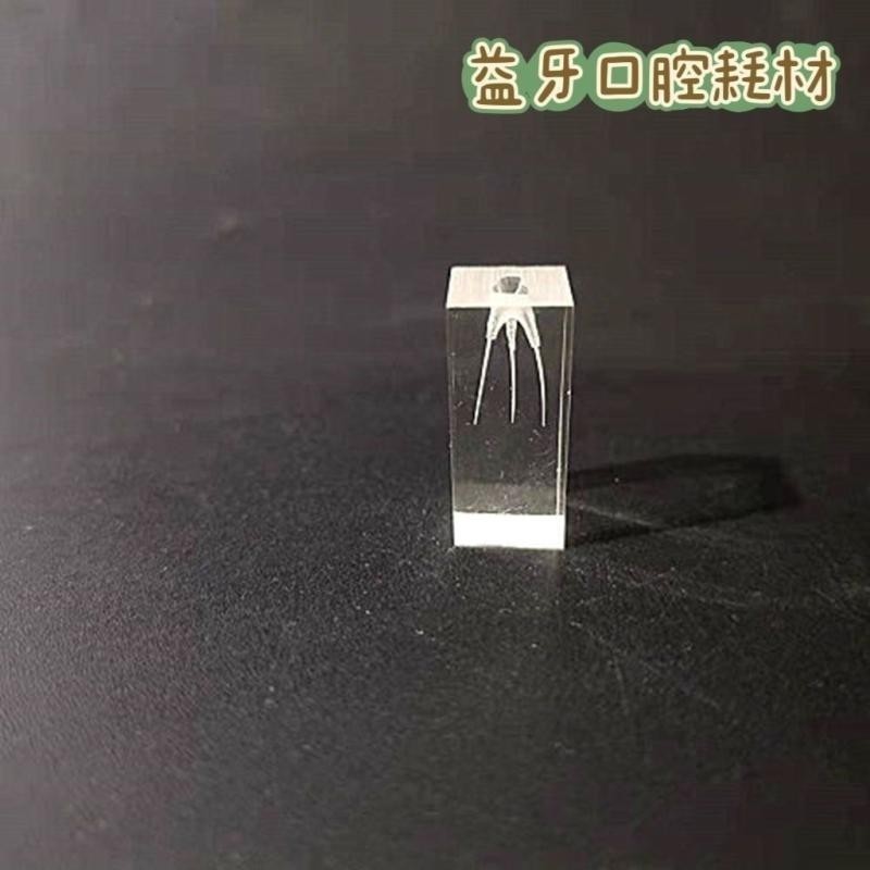 [Ready Stock spots] Dental crystal transparent root Tube block model ...