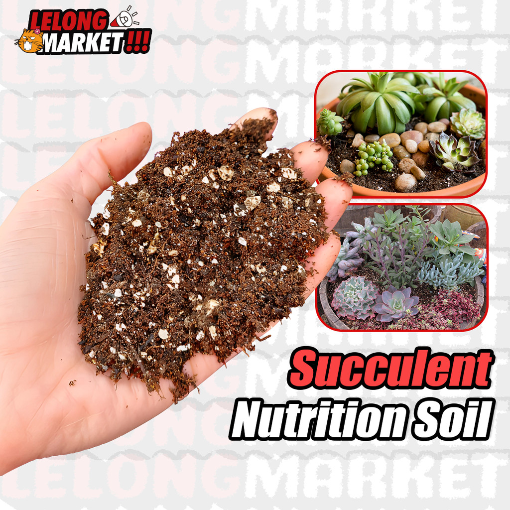 Succulent Mix Soil 1 Liter Cactus Soil Succulent Potting Mix Succulent ...