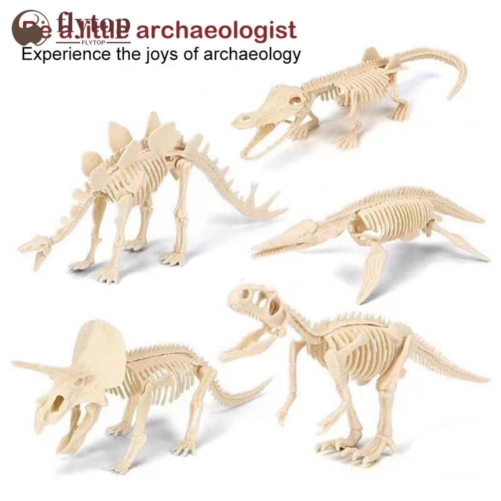 FLYTOP Simulation Dinosaur Fossil Plastic Skeleton Model Children's DIY ...